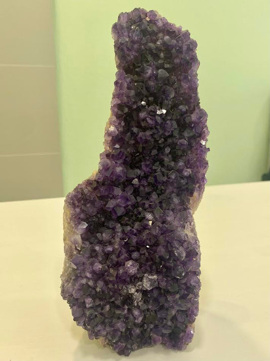 DRUSA AMATISTA URUGUAY (3.00kg)