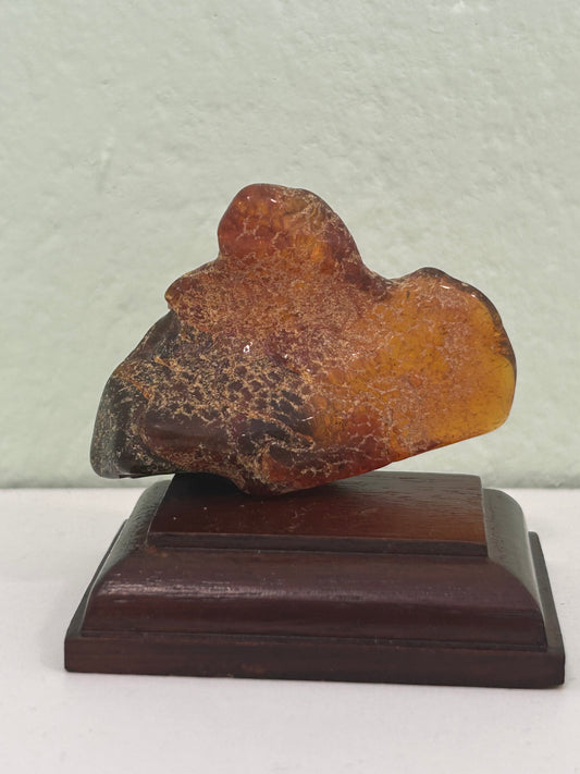 Rodado de ámbar