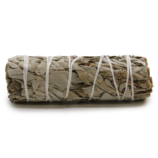Atado de Salvia Blanca 10 cm – Limpieza Energética y Purificación Natural