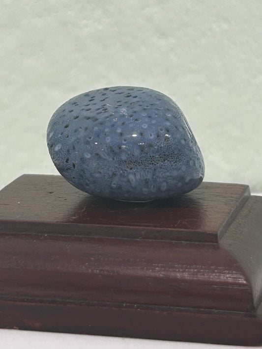 Rodado de coral azul